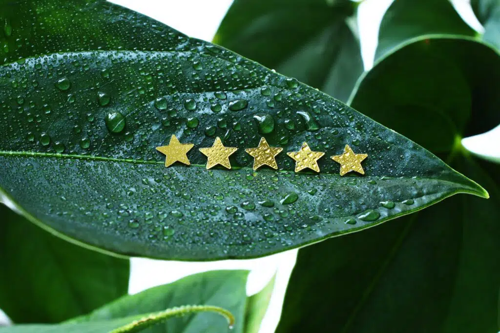 five stars review botox